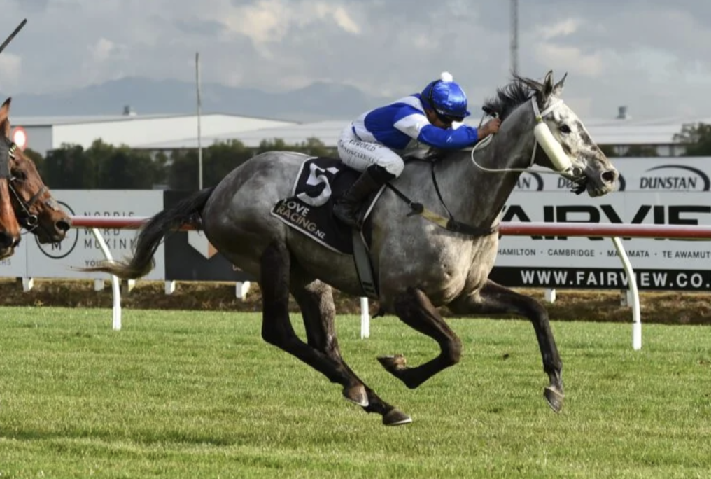 Latest Weekly Listings – Royal Meeting, Doubtland and Redwood